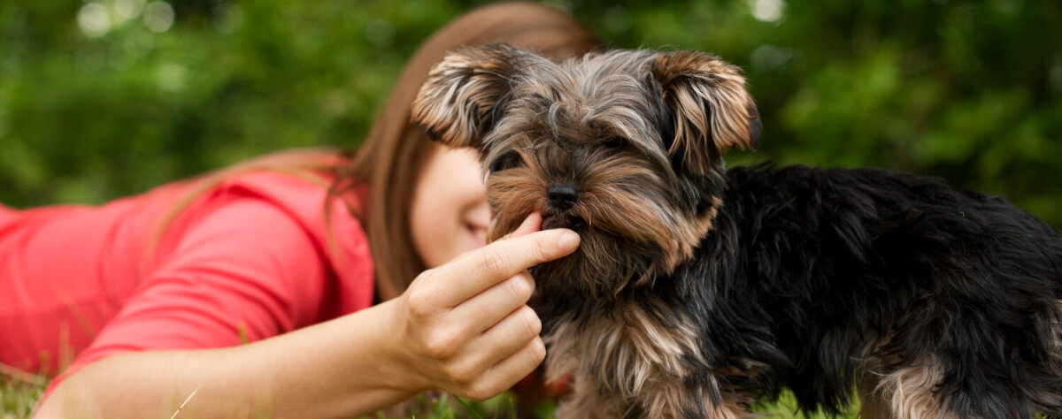 Dona dá petisco para seu cachorro